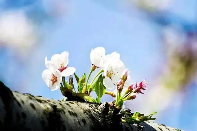 8228eb5288939dce03d1bd71486f64c6.jpg 图片